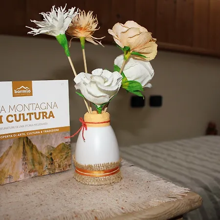 Rina Ξενοδοχείο Μπόρμιο